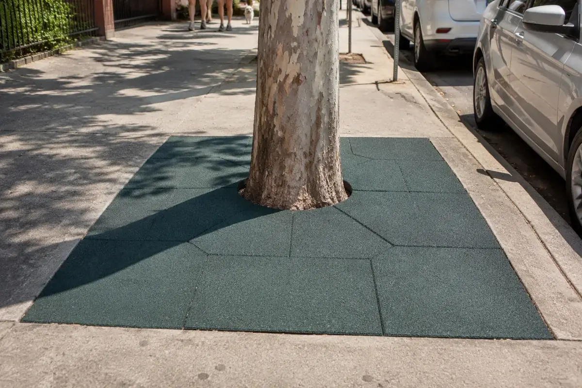 Rubber Tree Surround — photo 3