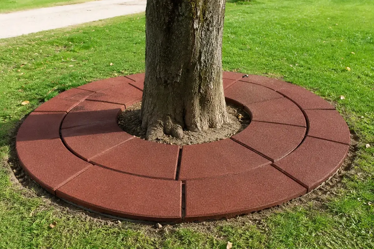 Rubber Tree Surround